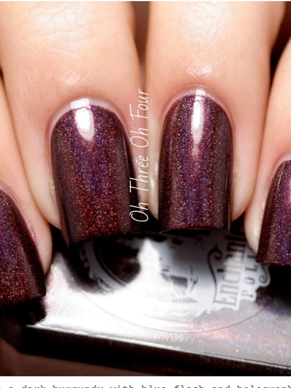 Enchanted Polish -Holiday 2013